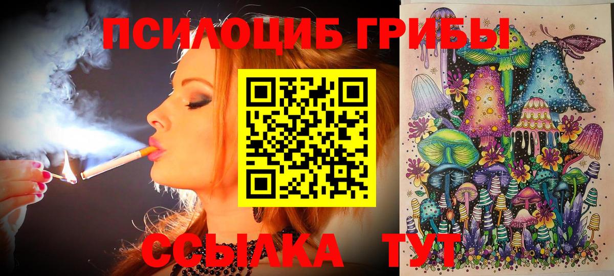 где продают наркотики  Галлюциногенные грибы Cubensis  Вход с VPN  Северобайкальск 